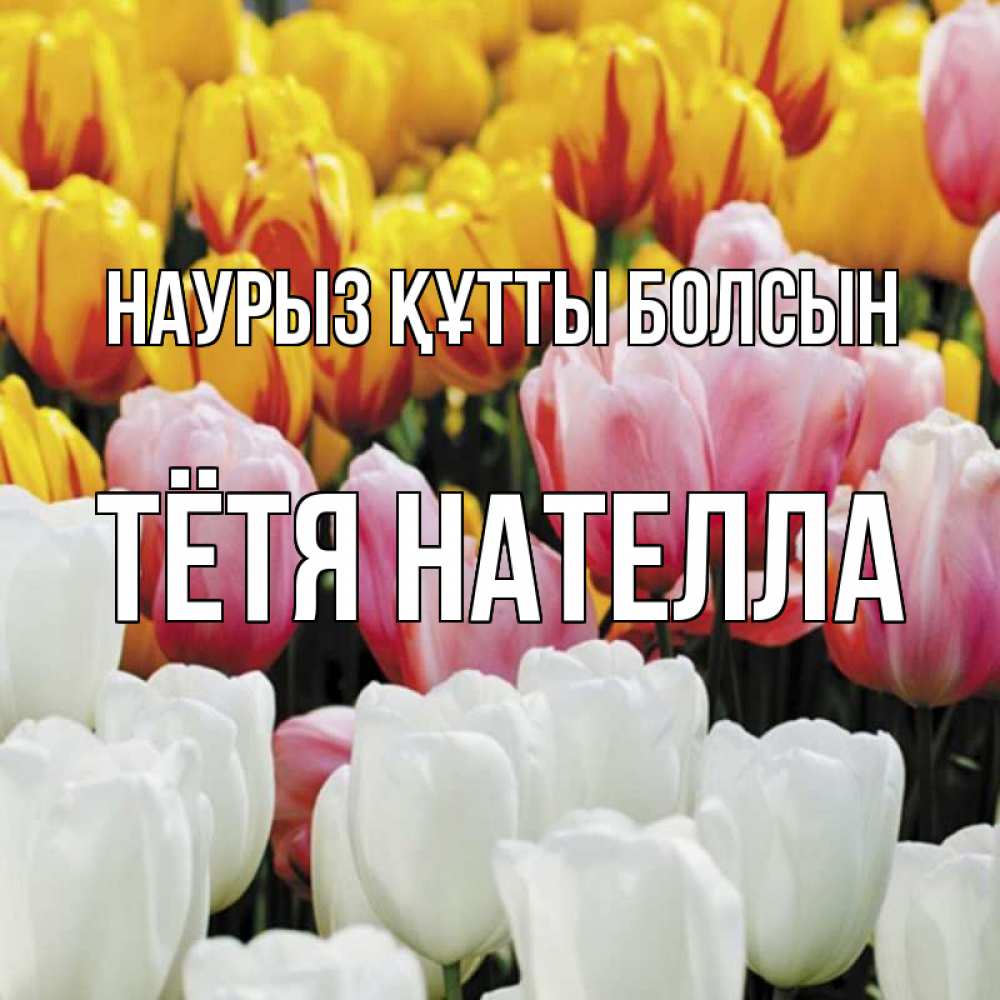 Открытка на каждый день с именем, Тётя-Нателла Наурыз құтты болсын разноцветные цветы Прикольная открытка с пожеланием онлайн скачать бесплатно 
