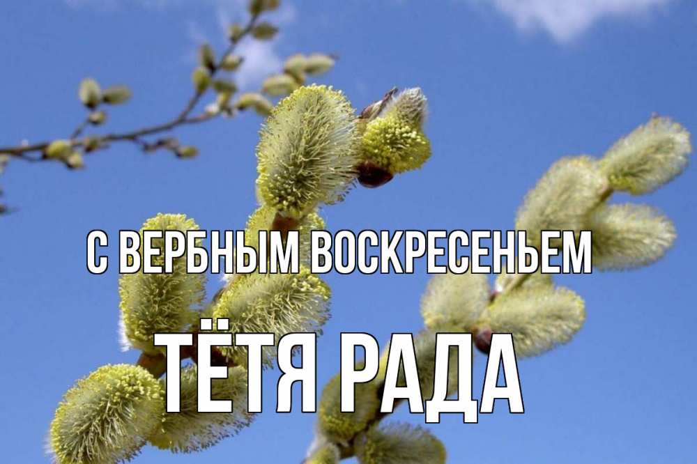 Открытка на каждый день с именем, Тётя-Рада С вербным воскресеньем верба Прикольная открытка с пожеланием онлайн скачать бесплатно 