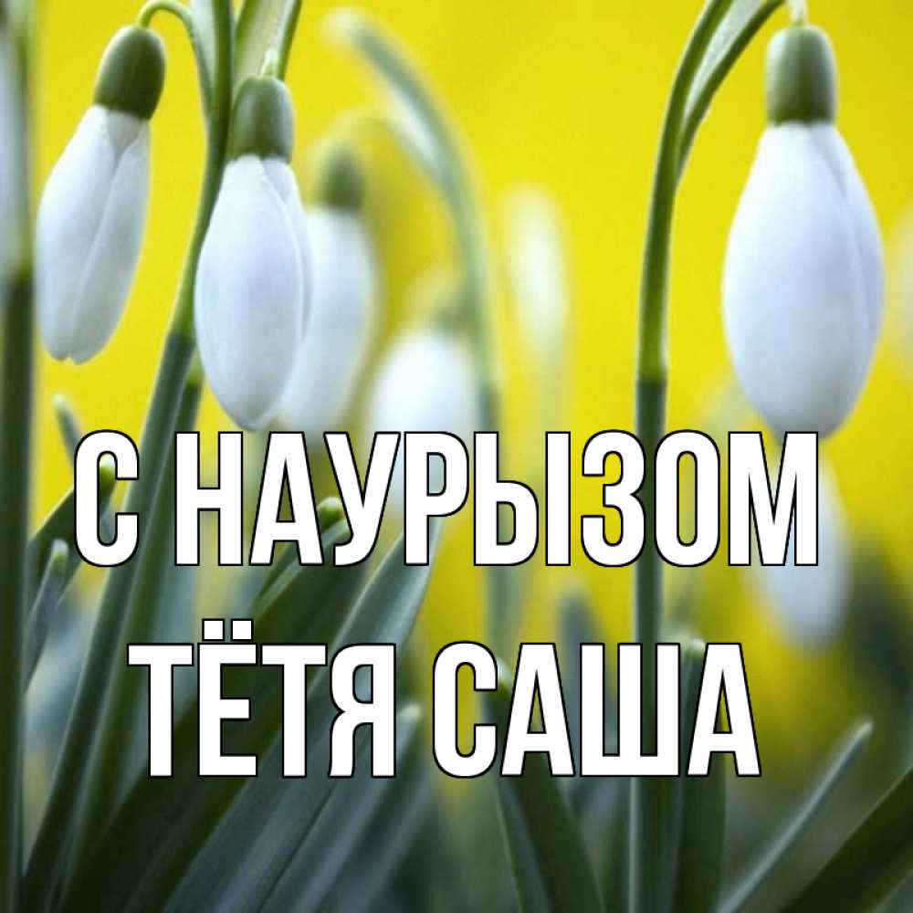 Открытка на каждый день с именем, Тётя-Саша С наурызом весенние цветы Прикольная открытка с пожеланием онлайн скачать бесплатно 