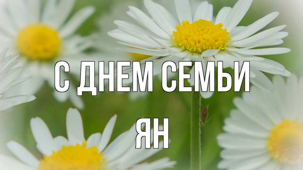 Открытка на каждый день с именем, Ян С днем семьи с днем семьи  1 Прикольная открытка с пожеланием онлайн скачать бесплатно 