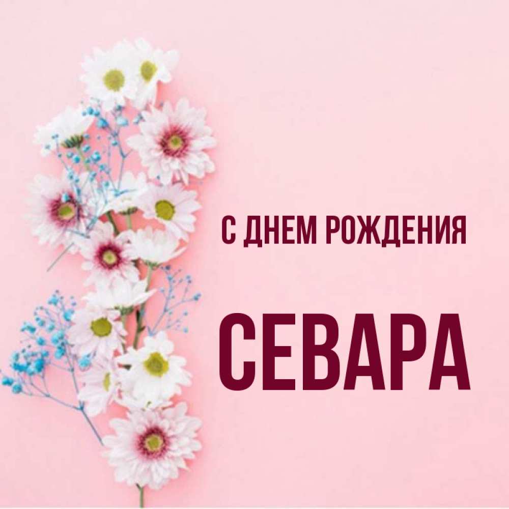 Картинки с днем рождения севара