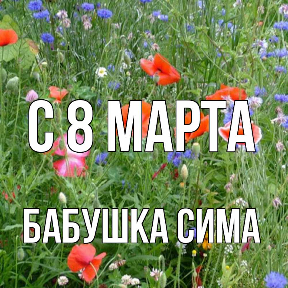 Открытка на каждый день с именем, Бабушка-Сима С 8 МАРТА международный женский день 4 Прикольная открытка с пожеланием онлайн скачать бесплатно 