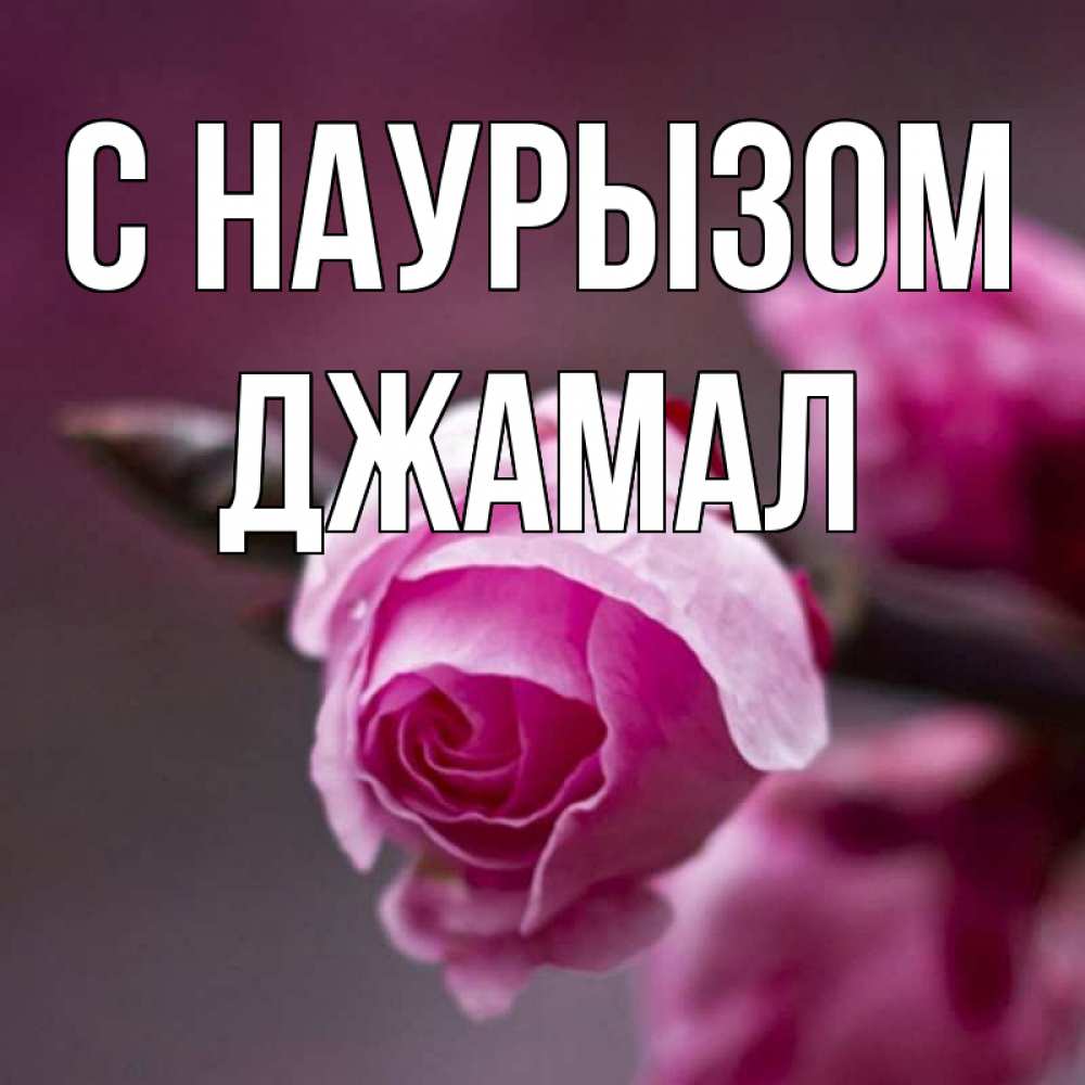 Открытка на каждый день с именем, Джамал С наурызом весна Прикольная открытка с пожеланием онлайн скачать бесплатно 