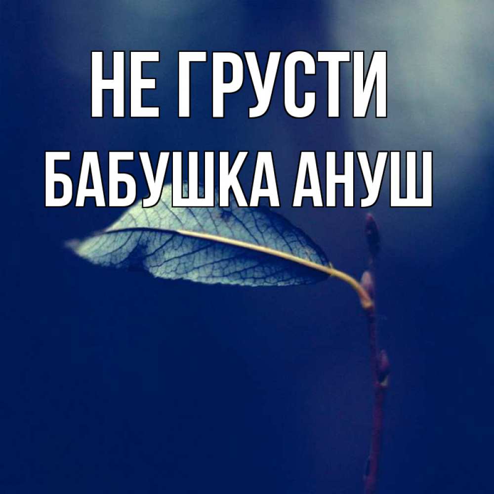 Открытка на каждый день с именем, Бабушка-Ануш Не грусти растение Прикольная открытка с пожеланием онлайн скачать бесплатно 