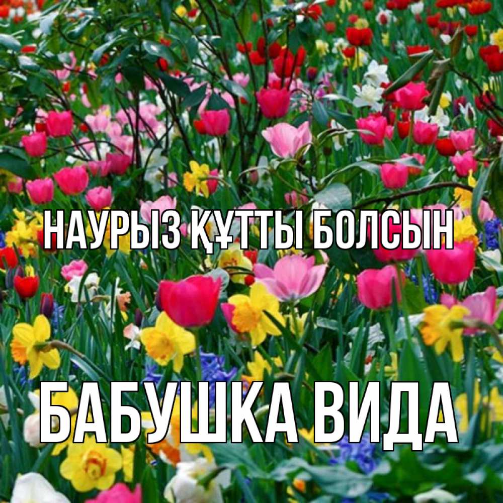 Открытка на каждый день с именем, Бабушка-Вида Наурыз құтты болсын с наурызом поздравления для женщины Прикольная открытка с пожеланием онлайн скачать бесплатно 
