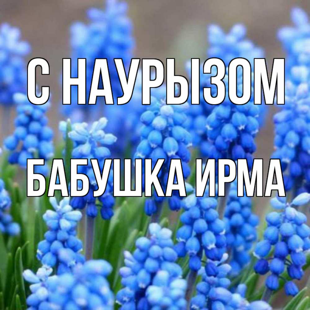 Открытка на каждый день с именем, Бабушка-Ирма С наурызом Поздравительная открытка для женщин с цветами на праздничную дату Прикольная открытка с пожеланием онлайн скачать бесплатно 