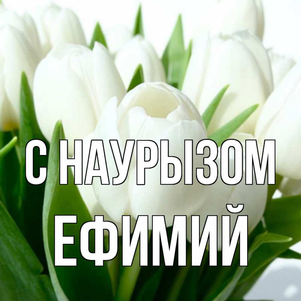 Открытка на каждый день с именем, Ефимий С наурызом цветы Прикольная открытка с пожеланием онлайн скачать бесплатно 