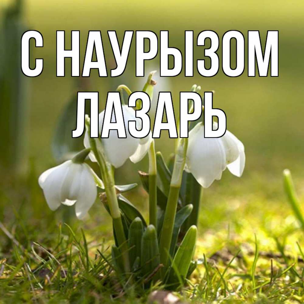 Открытка на каждый день с именем, Лазарь С наурызом ранние цветы 2 Прикольная открытка с пожеланием онлайн скачать бесплатно 