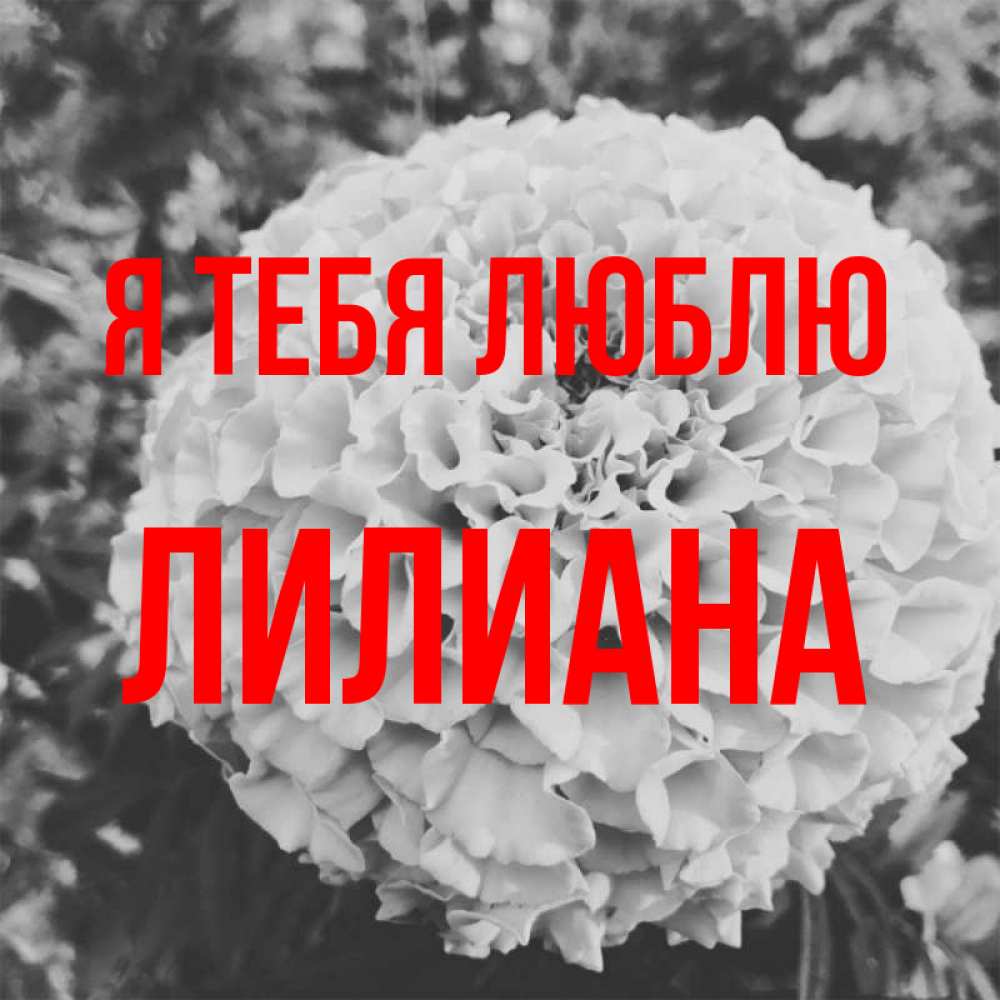 Открытка на каждый день с именем, Лилиана Я тебя люблю подпись Прикольная открытка с пожеланием онлайн скачать бесплатно 
