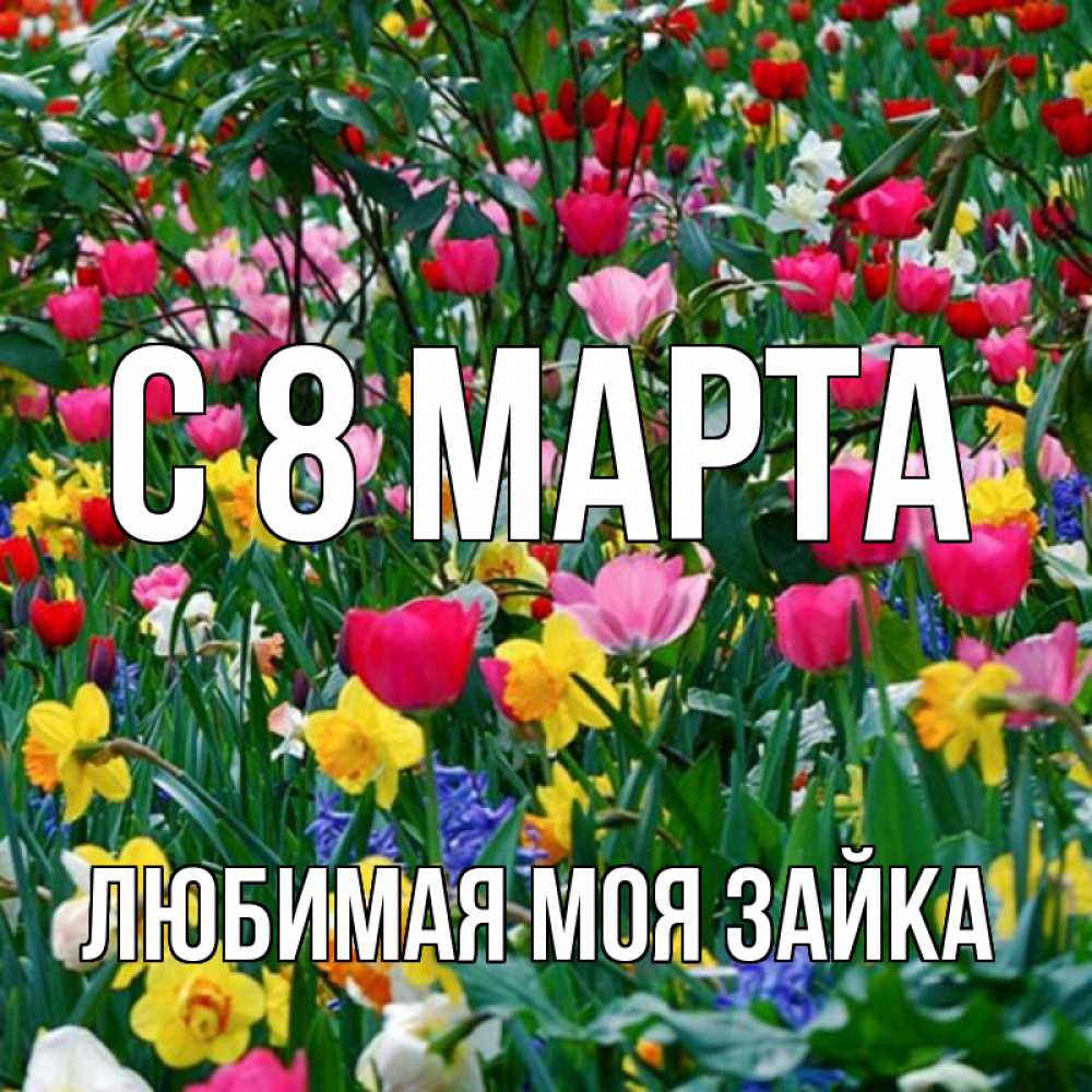 Открытка на каждый день с именем, Любимая-моя-зайка С 8 МАРТА с международным женским днем поздравления для женщины Прикольная открытка с пожеланием онлайн скачать бесплатно 