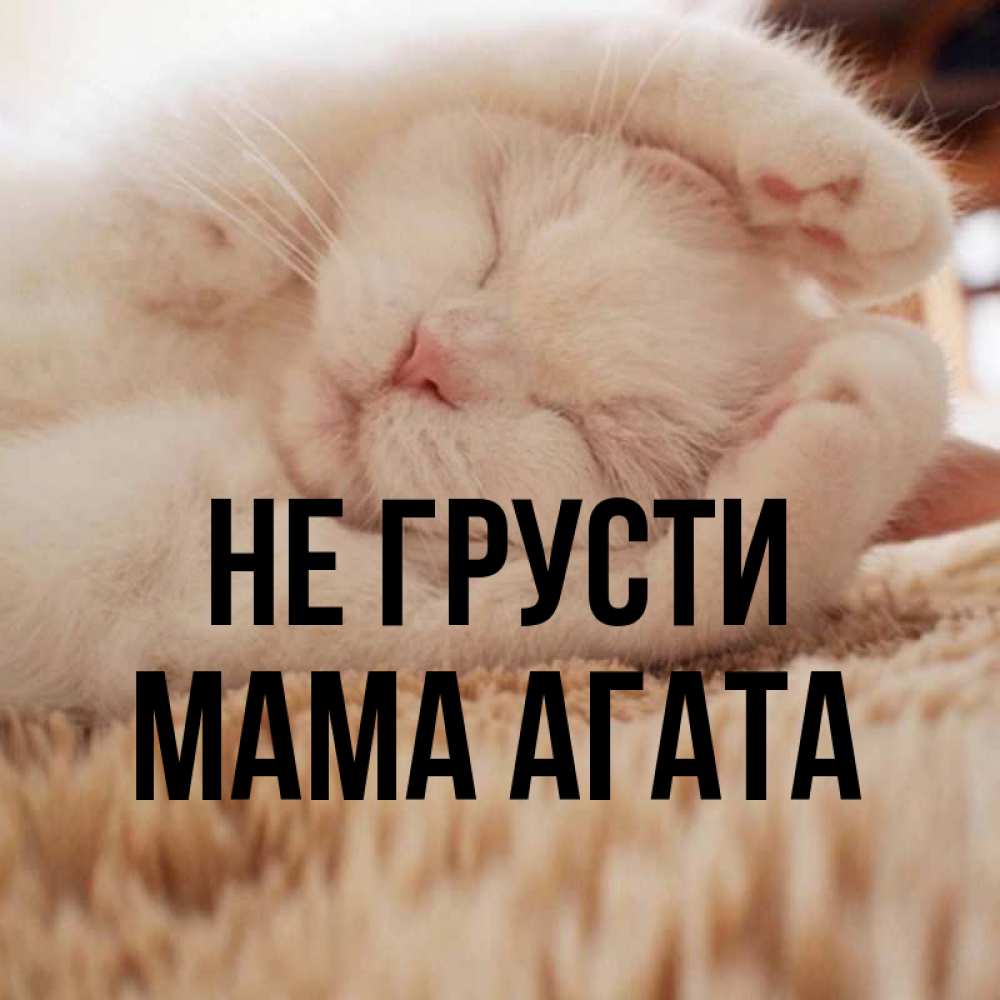 Открытка на каждый день с именем, Мама-Агата Не грусти Котенок спит Прикольная открытка с пожеланием онлайн скачать бесплатно 