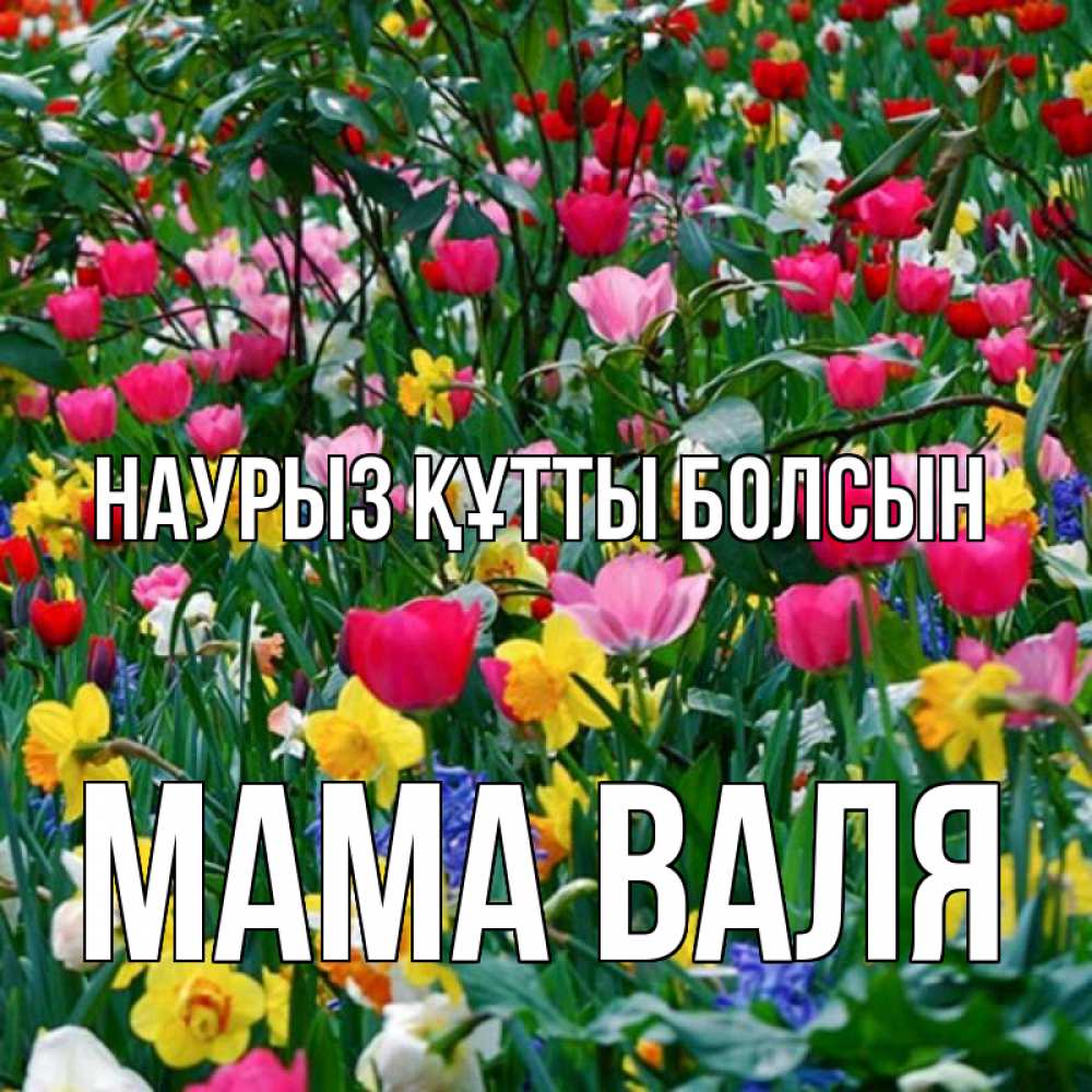 Открытка на каждый день с именем, Мама-Валя Наурыз құтты болсын с наурызом поздравления для женщины Прикольная открытка с пожеланием онлайн скачать бесплатно 