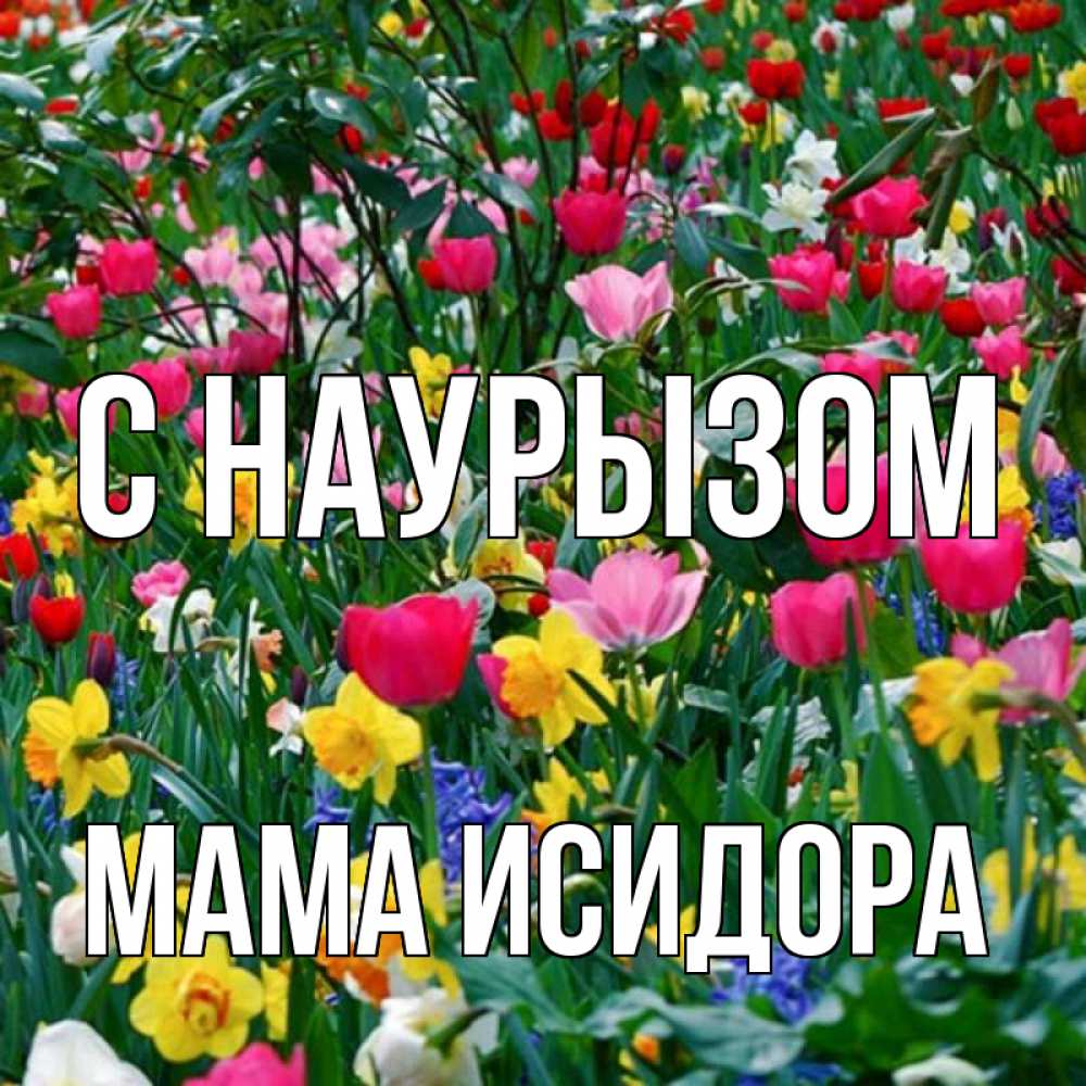 Открытка на каждый день с именем, Мама-Исидора С наурызом с наурызом праздником весны поздравления для женщины Прикольная открытка с пожеланием онлайн скачать бесплатно 