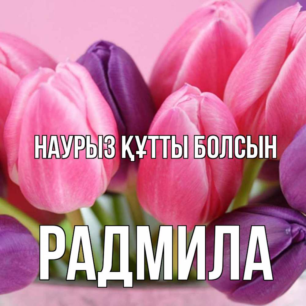 Открытка на каждый день с именем, Радмила Наурыз құтты болсын маме 1 Прикольная открытка с пожеланием онлайн скачать бесплатно 