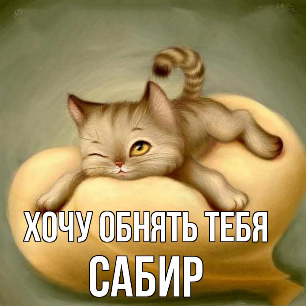 Открытка на каждый день с именем, Сабир Хочу обнять тебя кошечка Прикольная открытка с пожеланием онлайн скачать бесплатно 