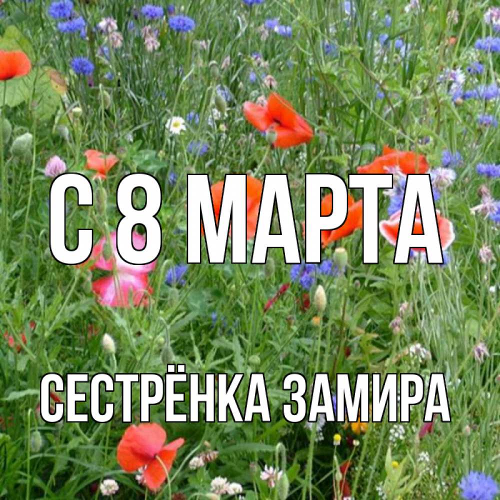 Открытка на каждый день с именем, Сестрёнка-Замира С 8 МАРТА международный женский день 4 Прикольная открытка с пожеланием онлайн скачать бесплатно 
