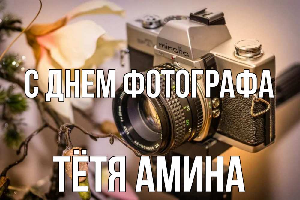 Открытка на каждый день с именем, Тётя-Амина С днем фотографа с днем фотографа 1 Прикольная открытка с пожеланием онлайн скачать бесплатно 