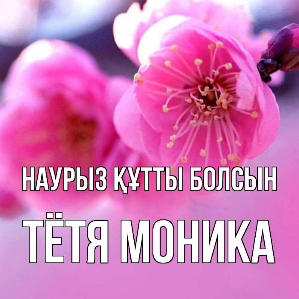 Открытка на каждый день с именем, Тётя-Моника Наурыз құтты болсын наурыз мейрам Прикольная открытка с пожеланием онлайн скачать бесплатно 