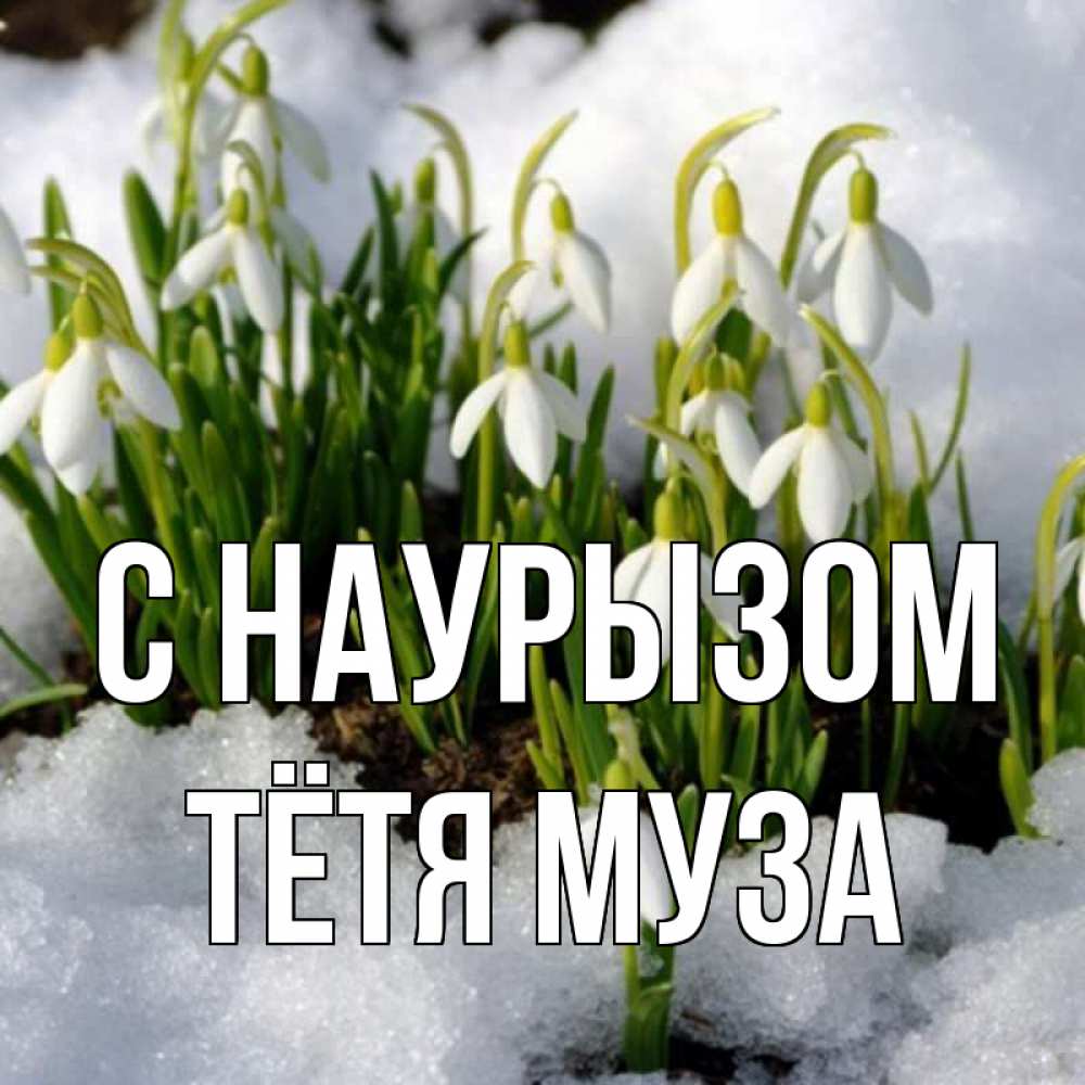 Открытка на каждый день с именем, Тётя-Муза С наурызом цветы весенние Прикольная открытка с пожеланием онлайн скачать бесплатно 