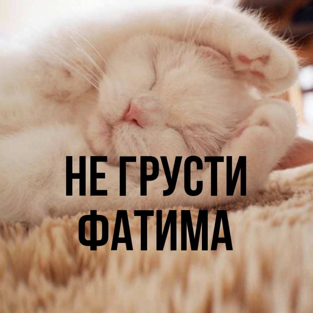 Открытка на каждый день с именем, Фатима Не грусти Котенок спит Прикольная открытка с пожеланием онлайн скачать бесплатно 