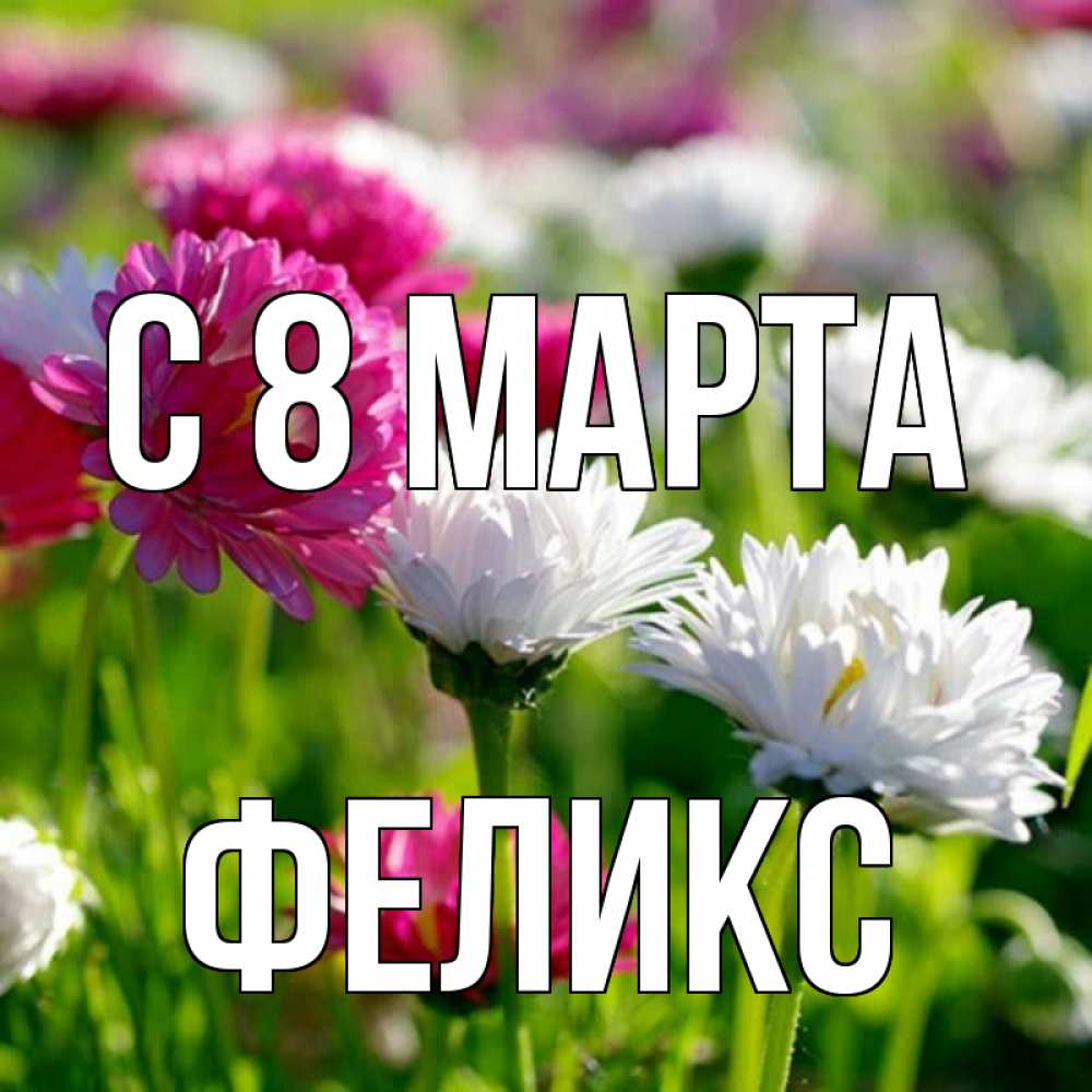 Открытка на каждый день с именем, Феликс С 8 МАРТА международный женский день 1 Прикольная открытка с пожеланием онлайн скачать бесплатно 