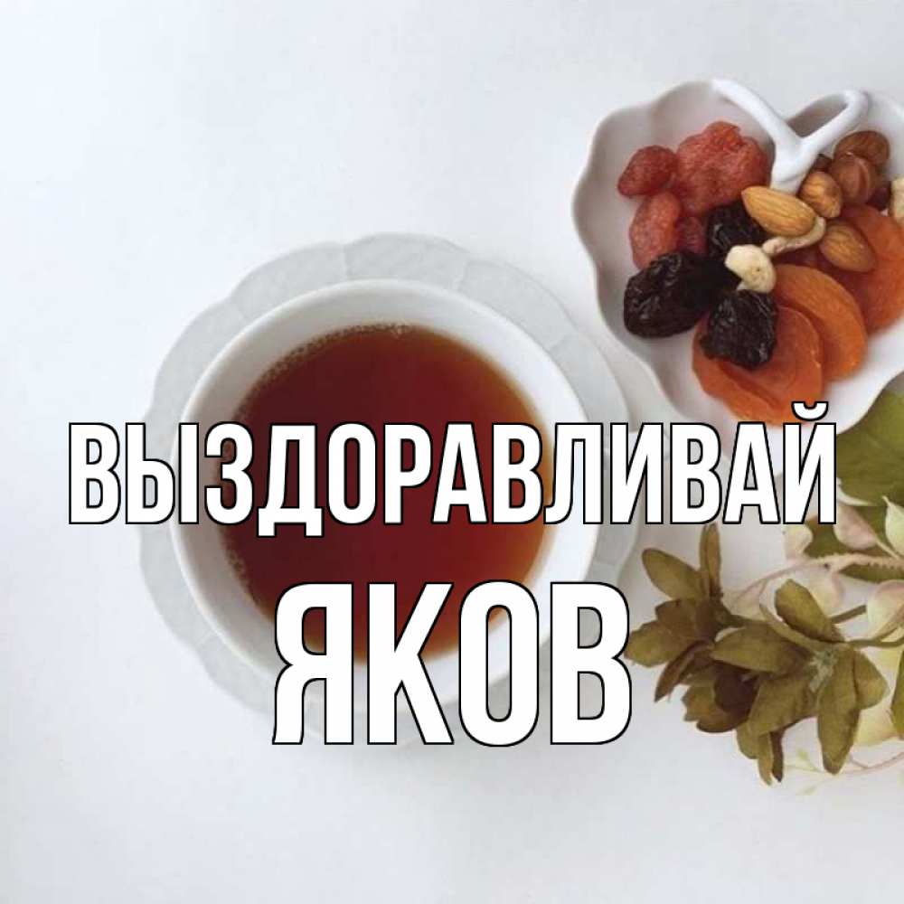 Открытка на каждый день с именем, Яков Выздоравливай неизвестные растения Прикольная открытка с пожеланием онлайн скачать бесплатно 