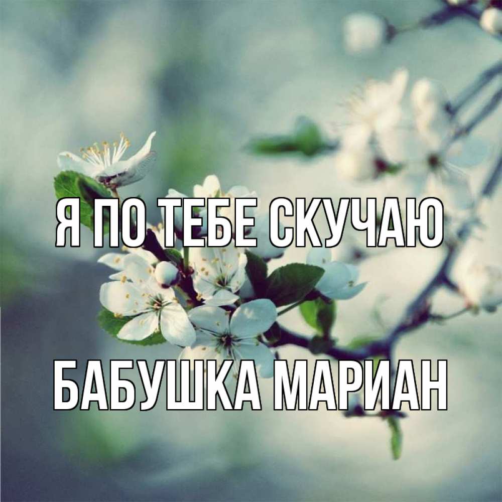 Открытка на каждый день с именем, Бабушка-Мариан Я по тебе скучаю весна Прикольная открытка с пожеланием онлайн скачать бесплатно 