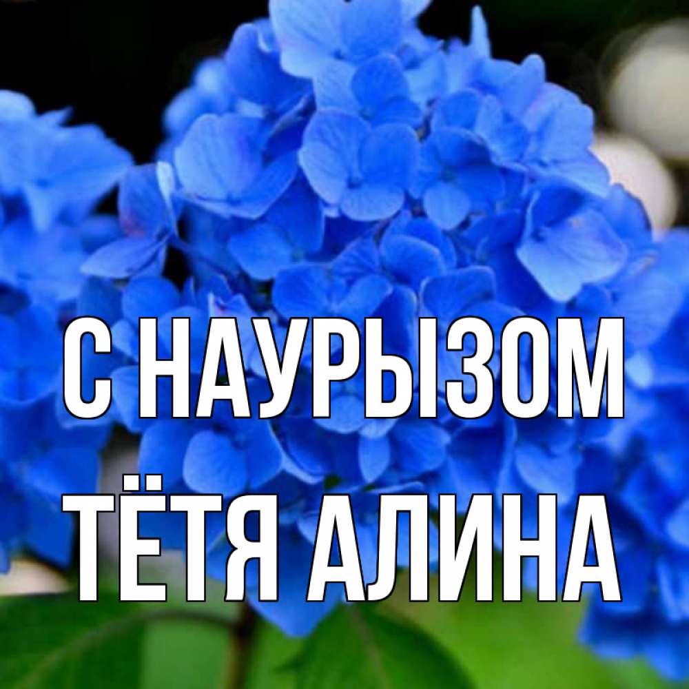 Открытка на каждый день с именем, Тётя-Алина С наурызом синие цветы Прикольная открытка с пожеланием онлайн скачать бесплатно 