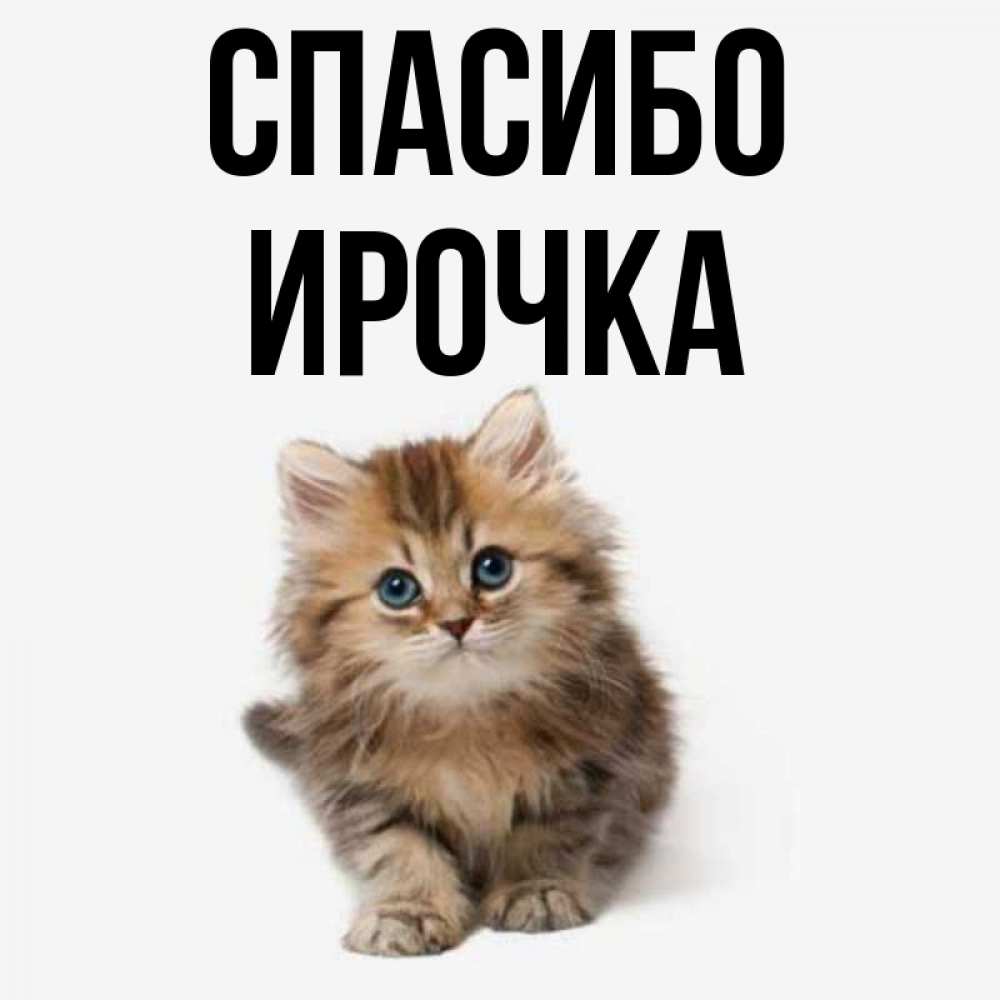 Ирочка милашка картинки