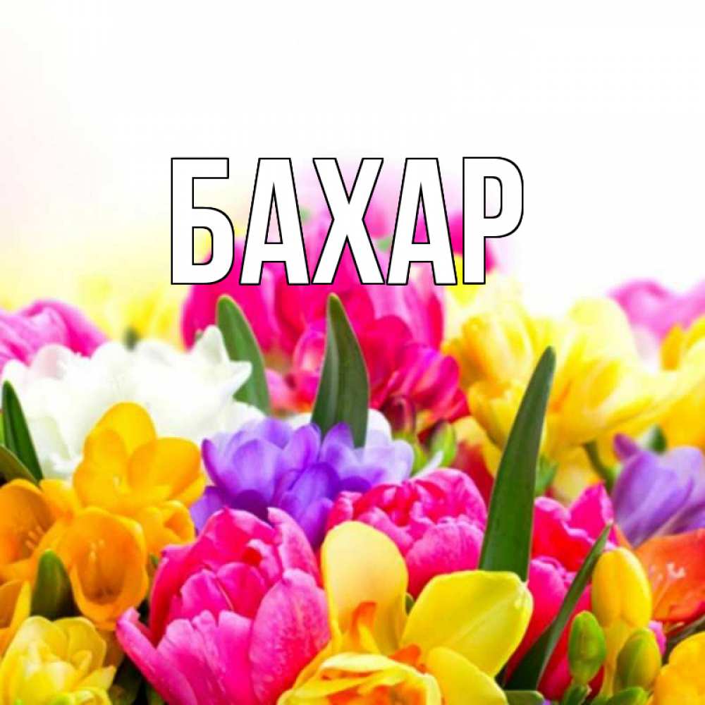 Открытка на каждый день с именем, Бахар Главная тюльпаны Прикольная открытка с пожеланием онлайн скачать бесплатно 