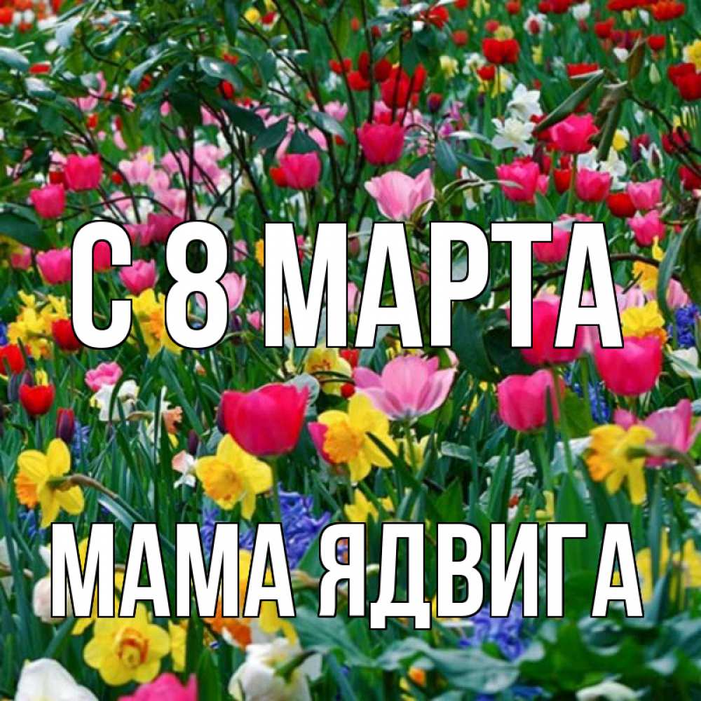 Открытка на каждый день с именем, Мама-Ядвига С 8 МАРТА с международным женским днем поздравления для женщины Прикольная открытка с пожеланием онлайн скачать бесплатно 