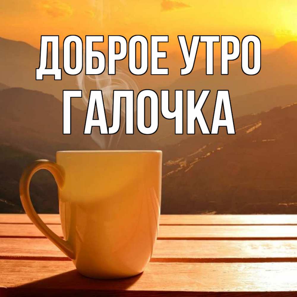 лучше доброе утро галочка картинки красивые ситуации мире