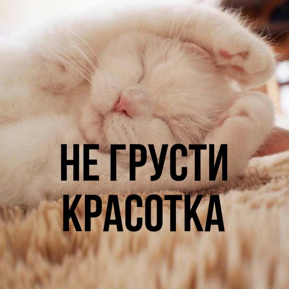 Картинка Не грусти, красотка