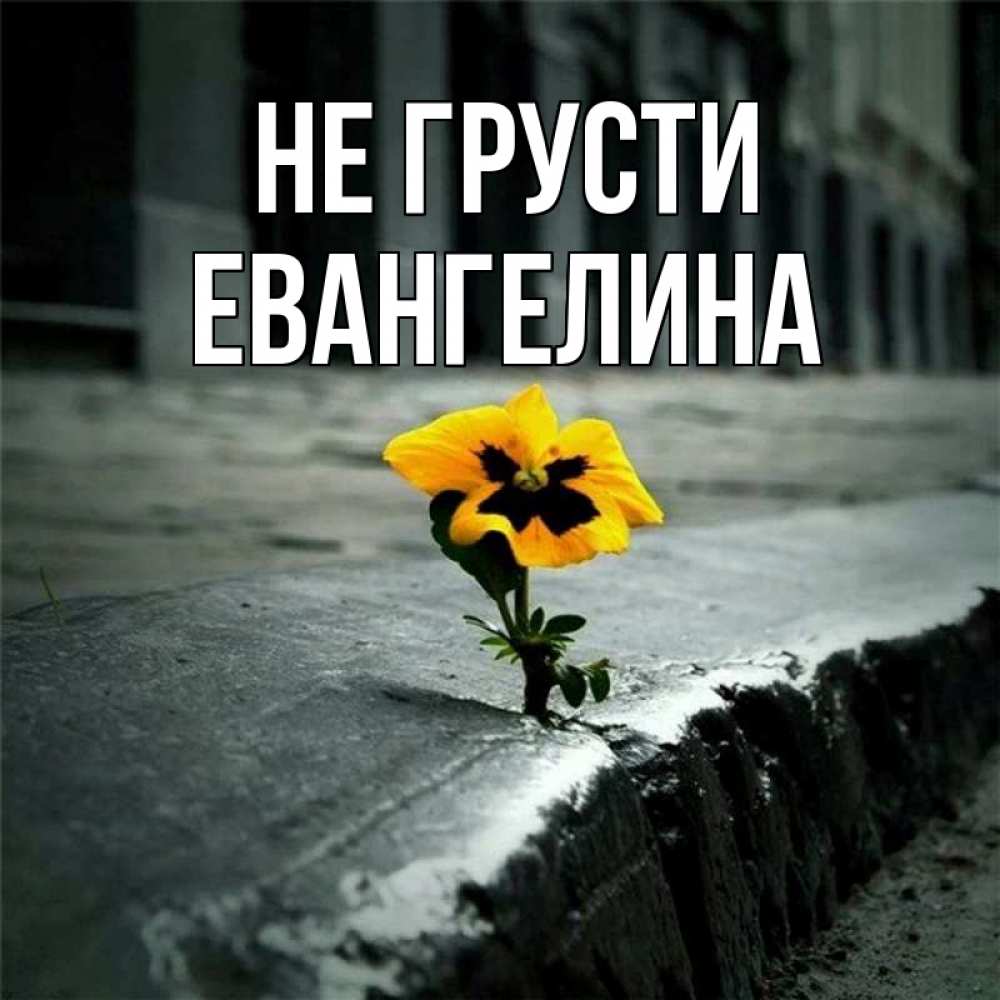 Открытка на каждый день с именем, Евангелина Не грусти не сдавайся Прикольная открытка с пожеланием онлайн скачать бесплатно 
