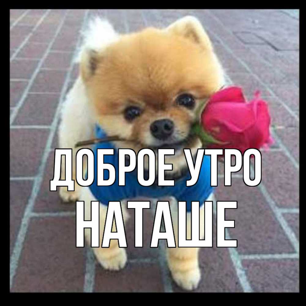 Картинка Доброе утро, Наташе доброе утро