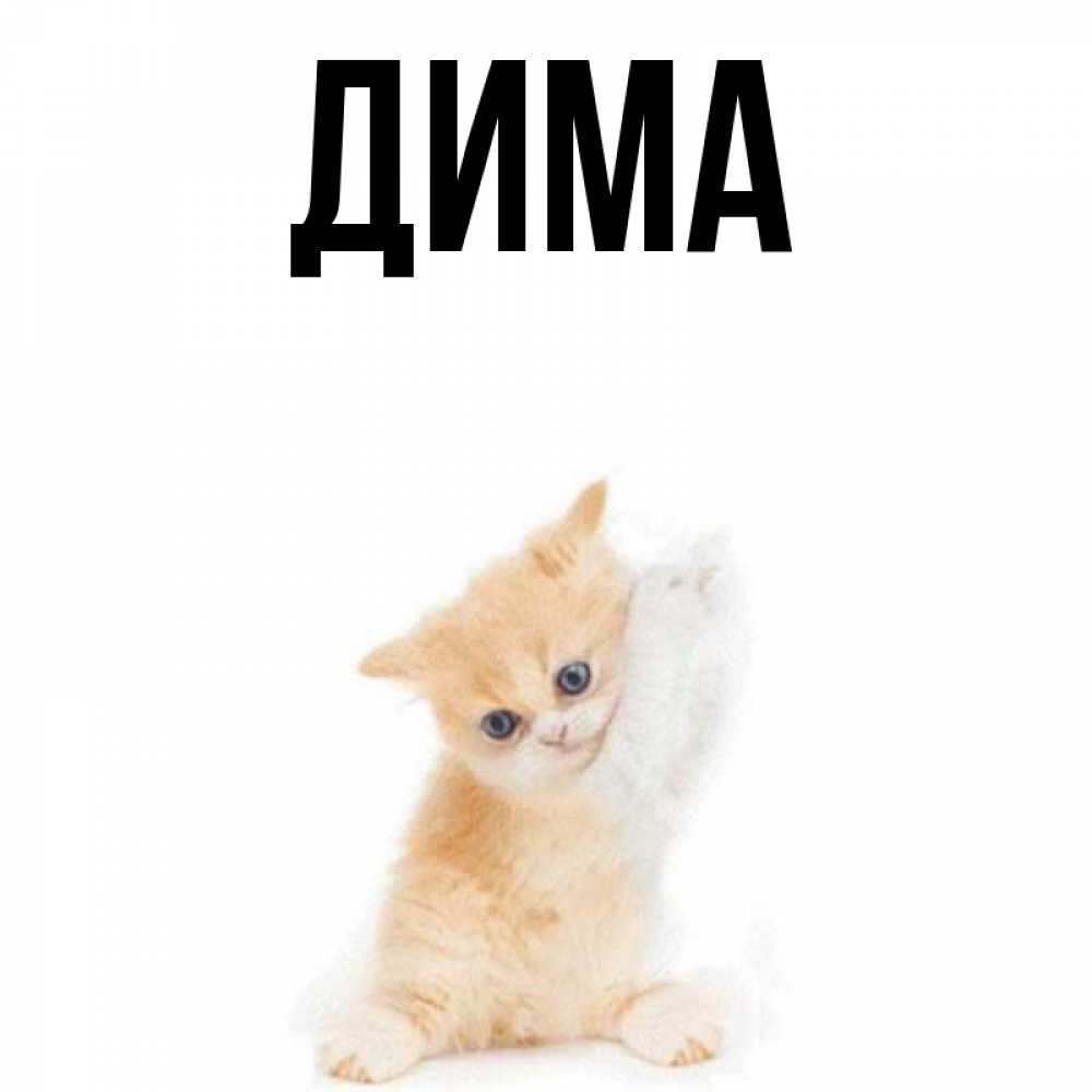 каждый крутые картинки с именем дима статьи
