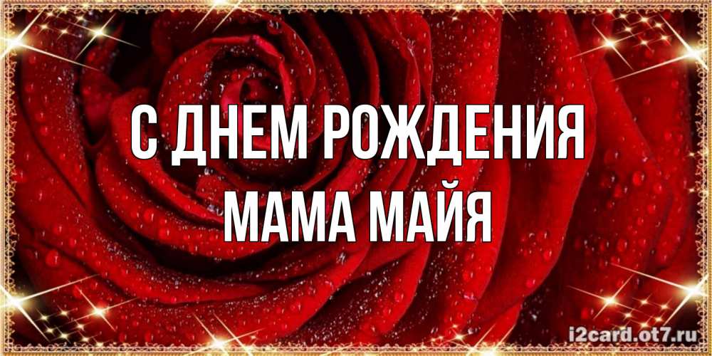 Открытка на каждый день с именем, Мама-Майя С днем рождения роса на розе блестящая в лучах солнца Прикольная открытка с пожеланием онлайн скачать бесплатно 