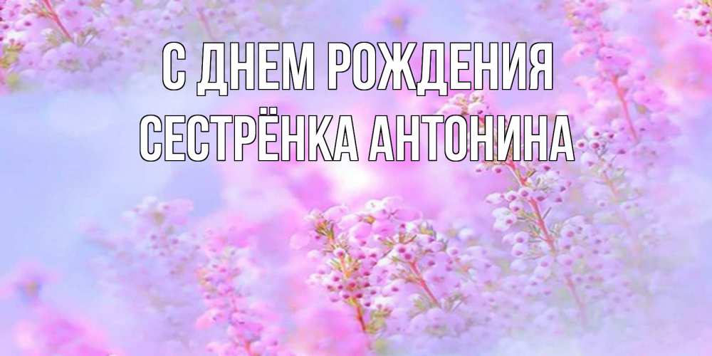 Открытка на каждый день с именем, Сестрёнка-Антонина С днем рождения красивая открытка с мелкими цветами Прикольная открытка с пожеланием онлайн скачать бесплатно 