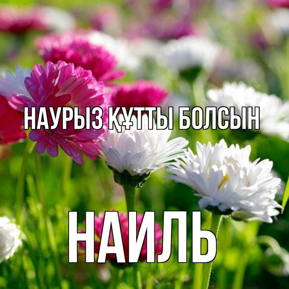 Открытка на каждый день с именем, Наиль Наурыз құтты болсын наурыз Прикольная открытка с пожеланием онлайн скачать бесплатно 