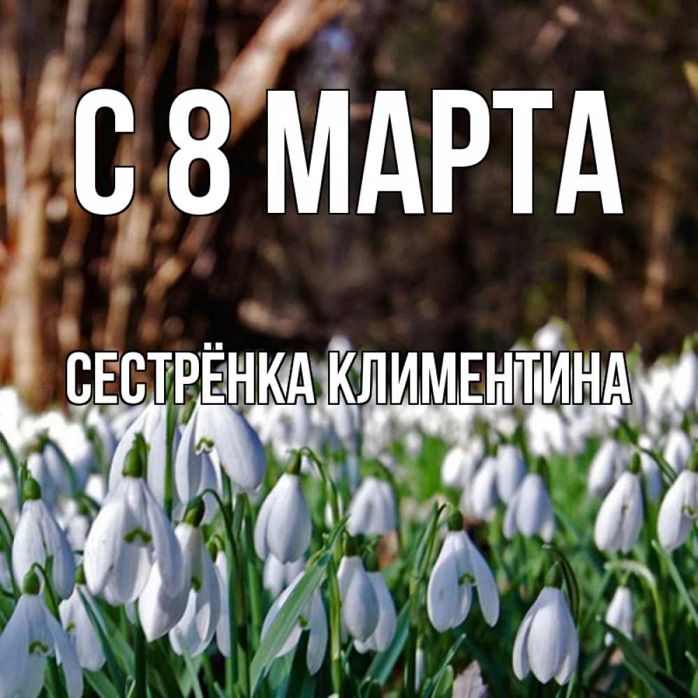 Открытка на каждый день с именем, Сестрёнка-Климентина С 8 МАРТА с подснежниками 1 Прикольная открытка с пожеланием онлайн скачать бесплатно 