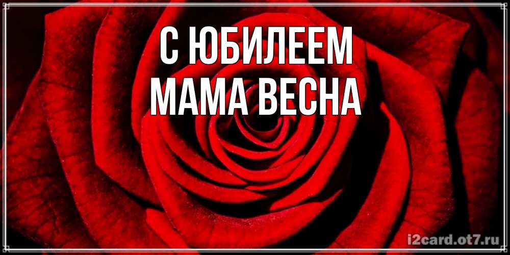 Открытка на каждый день с именем, Мама-Весна С юбилеем алая роза Прикольная открытка с пожеланием онлайн скачать бесплатно 