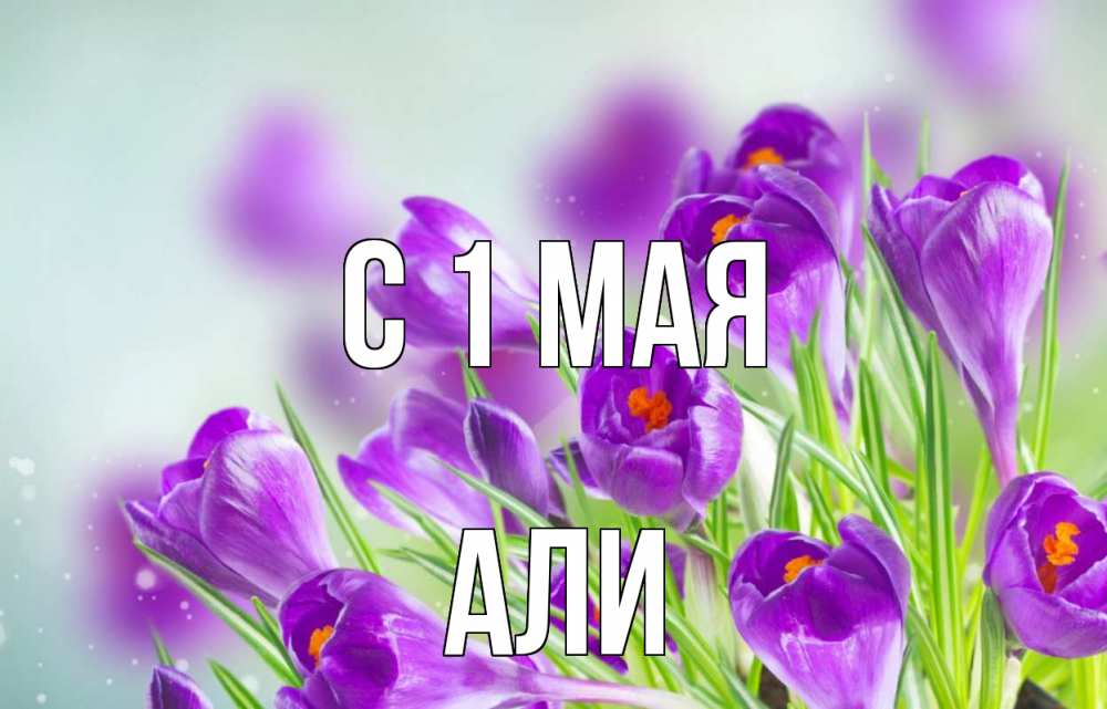 Открытка на каждый день с именем, Али С 1 мая 1 мая Прикольная открытка с пожеланием онлайн скачать бесплатно 