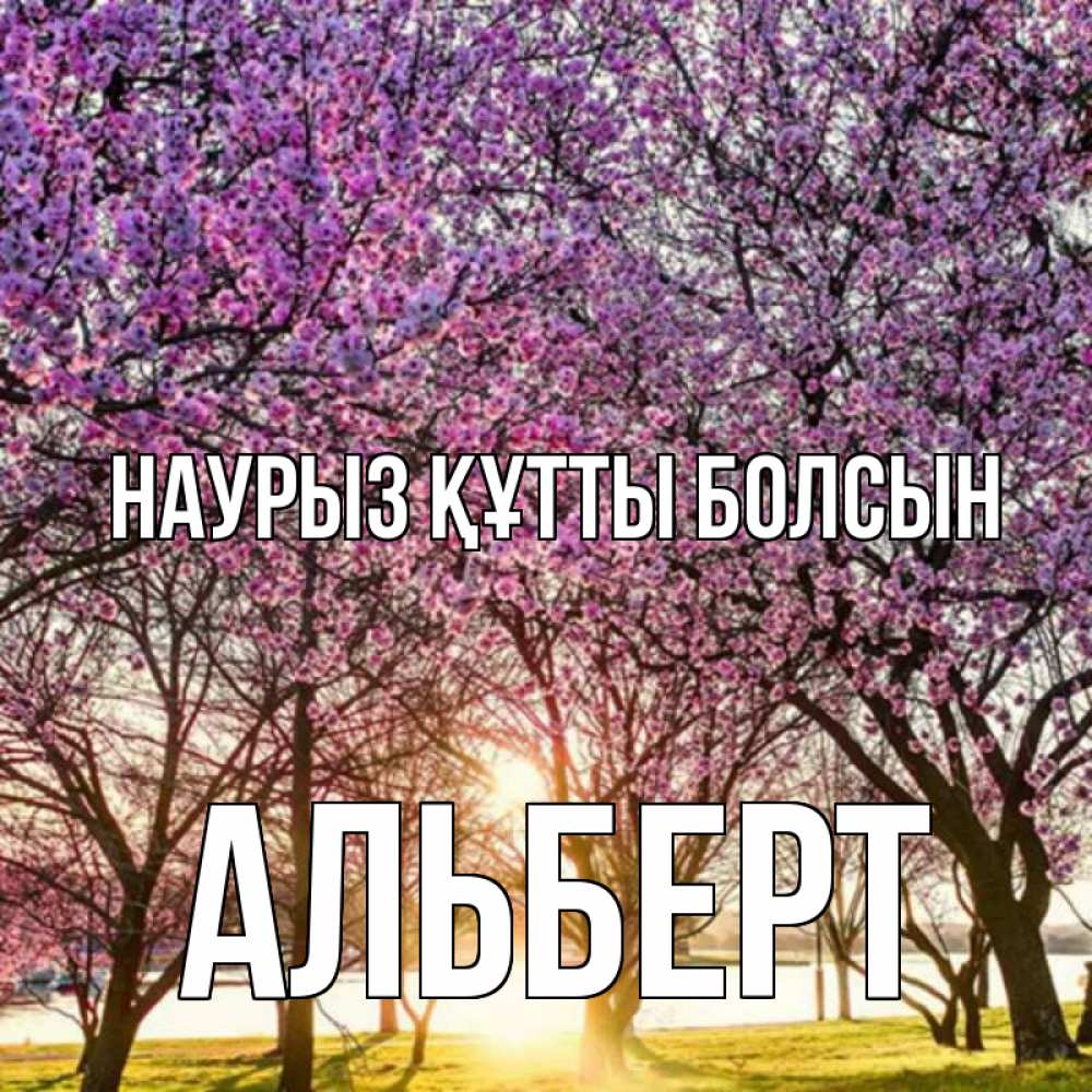 Открытка на каждый день с именем, Альберт Наурыз құтты болсын наурыз Прикольная открытка с пожеланием онлайн скачать бесплатно 