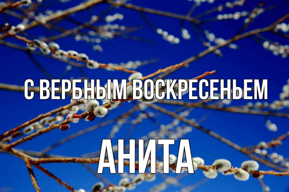 Открытка на каждый день с именем, Анита С вербным воскресеньем верба Прикольная открытка с пожеланием онлайн скачать бесплатно 
