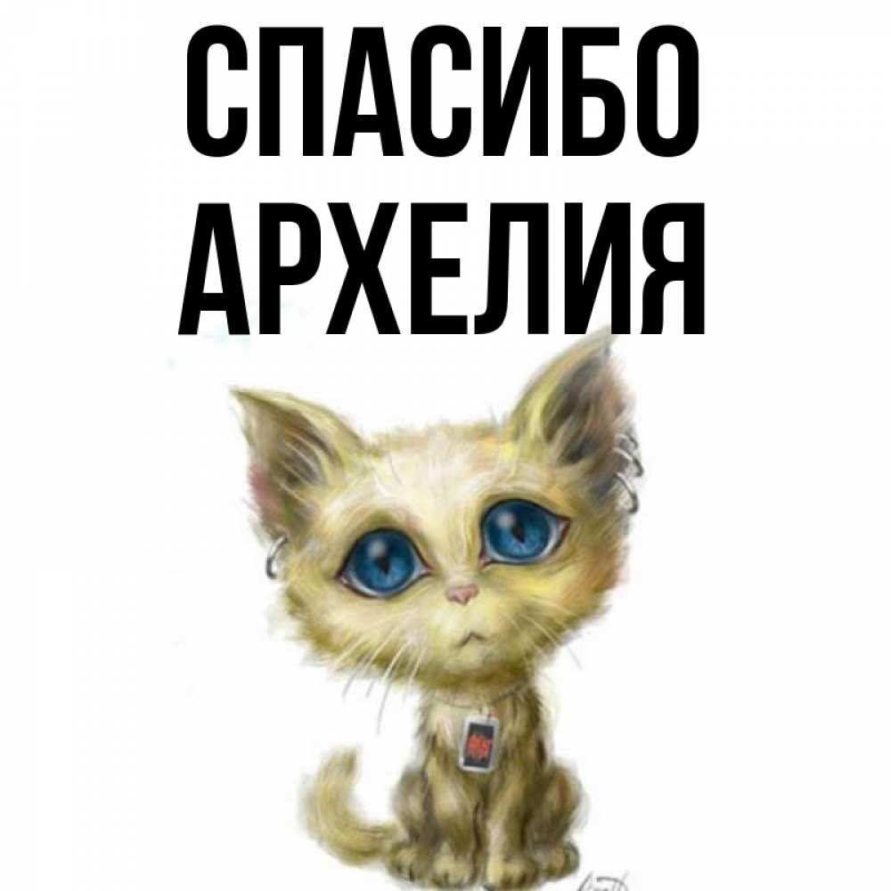 Открытка на каждый день с именем, Архелия Спасибо рисованный кот благодарит вас Прикольная открытка с пожеланием онлайн скачать бесплатно 