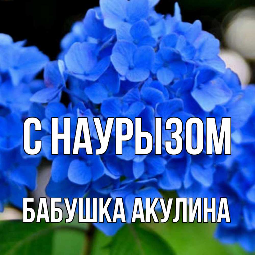 Открытка на каждый день с именем, Бабушка-Акулина С наурызом синие цветы Прикольная открытка с пожеланием онлайн скачать бесплатно 