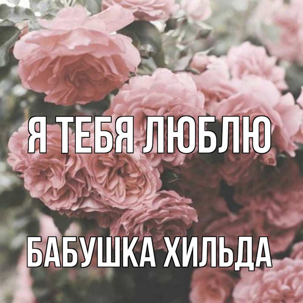 Открытка на каждый день с именем, Бабушка-Хильда Я тебя люблю розы 3 Прикольная открытка с пожеланием онлайн скачать бесплатно 