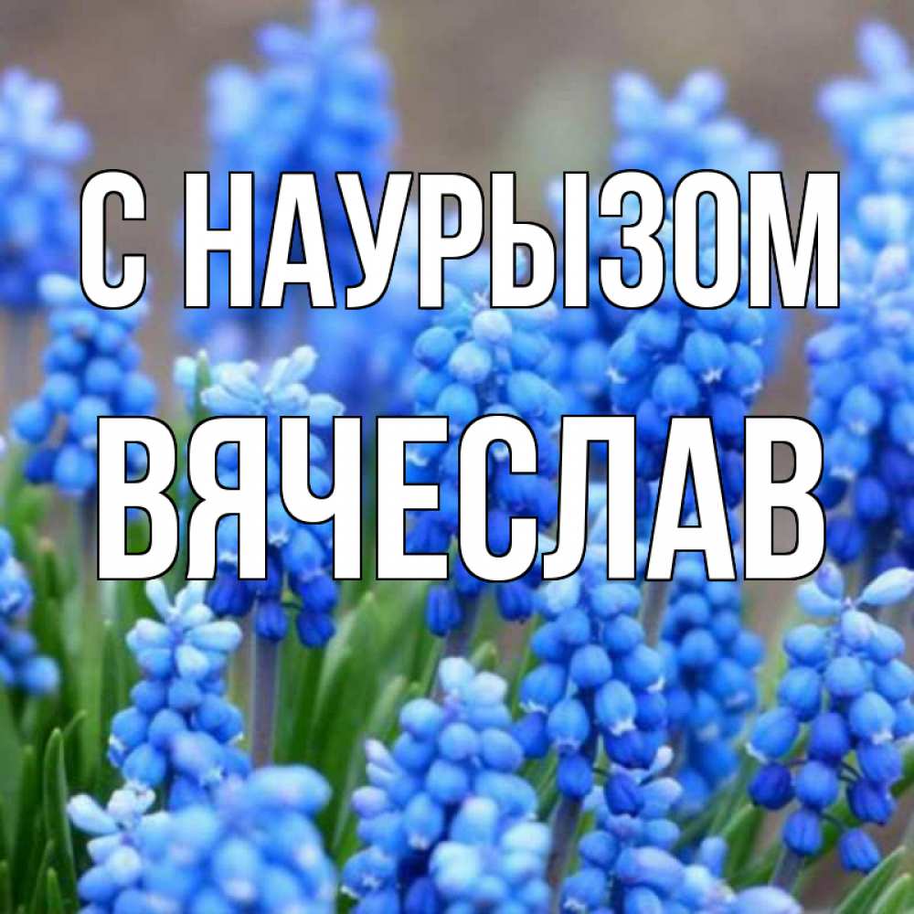 Открытка на каждый день с именем, Вячеслав С наурызом Поздравительная открытка для женщин с цветами на праздничную дату Прикольная открытка с пожеланием онлайн скачать бесплатно 