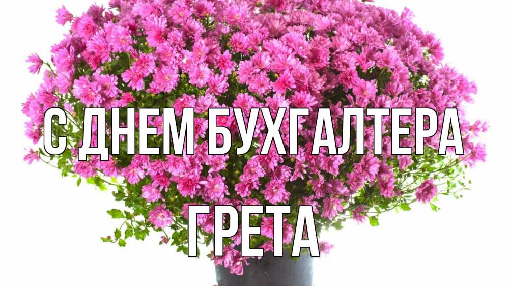 Открытка на каждый день с именем, Грета С днем бухгалтера с днем бухгалтера Прикольная открытка с пожеланием онлайн скачать бесплатно 