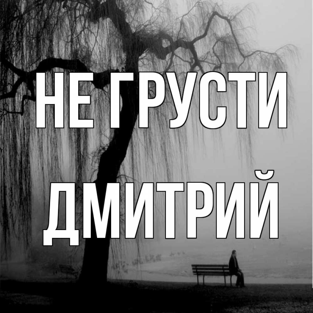 Открытка на каждый день с именем, Дмитрий Не грусти висящие ветки дерева и лавочка под деревом Прикольная открытка с пожеланием онлайн скачать бесплатно 